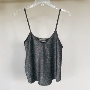 Urban Outfitters Sparkly Gray Crop Top